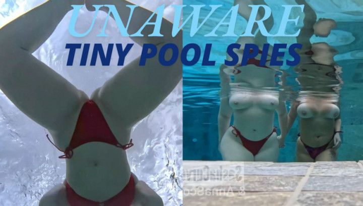 Unaware Little Spies by The Pool