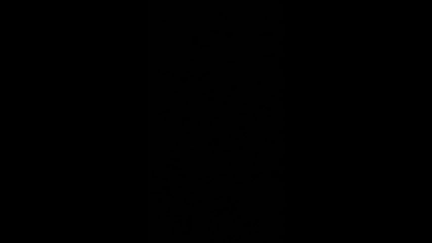 feed her dick every morning