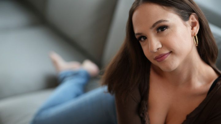 Cat Bird Seat | Callie Klein