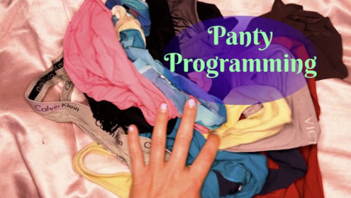 Panty Programming