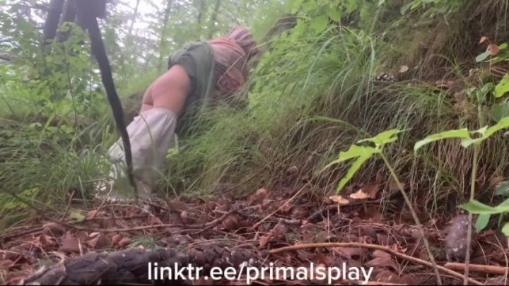 Punishment Spanks &amp; Lashes &amp; Crying