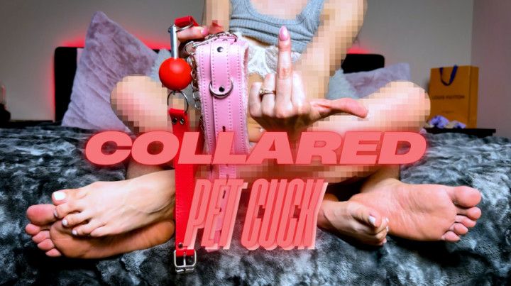 Cuckold Pet - Alpha Couple Feet Worship JOI