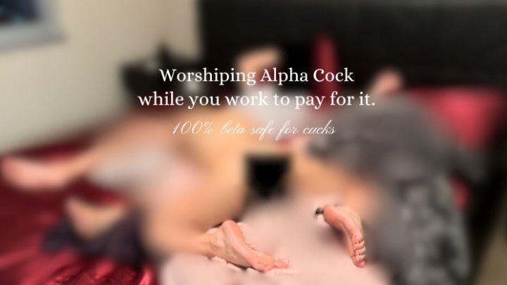 Alpha Couple Blowjob POV Loser porn for Beta cuckold
