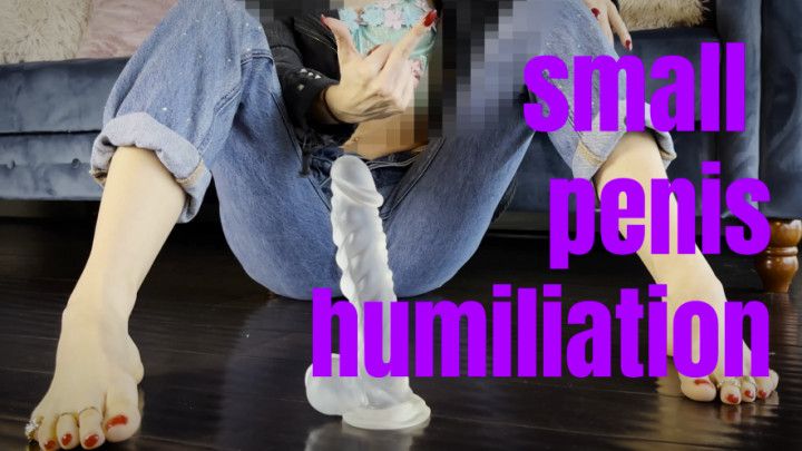 Small Penis Humiliation for NPCs Gooning Session