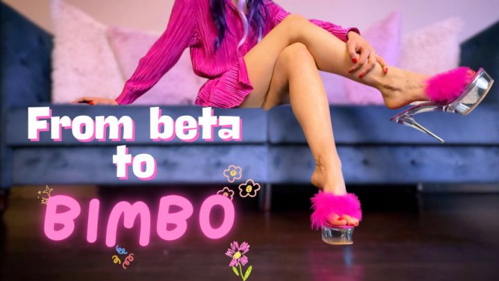 Beta Affirmations - From Beta to Bimbo