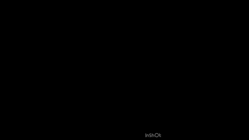 Video screenshot