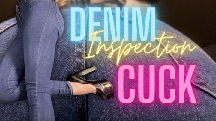 Denim Inspection