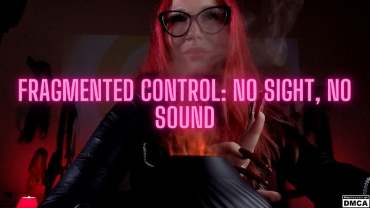 Fragmented Control: No Sight, No Sound