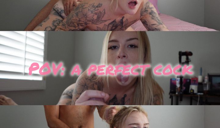 a perfect cock | Andre Stone