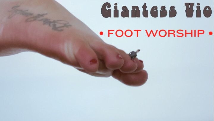 Giantess Vio's Foot Worship