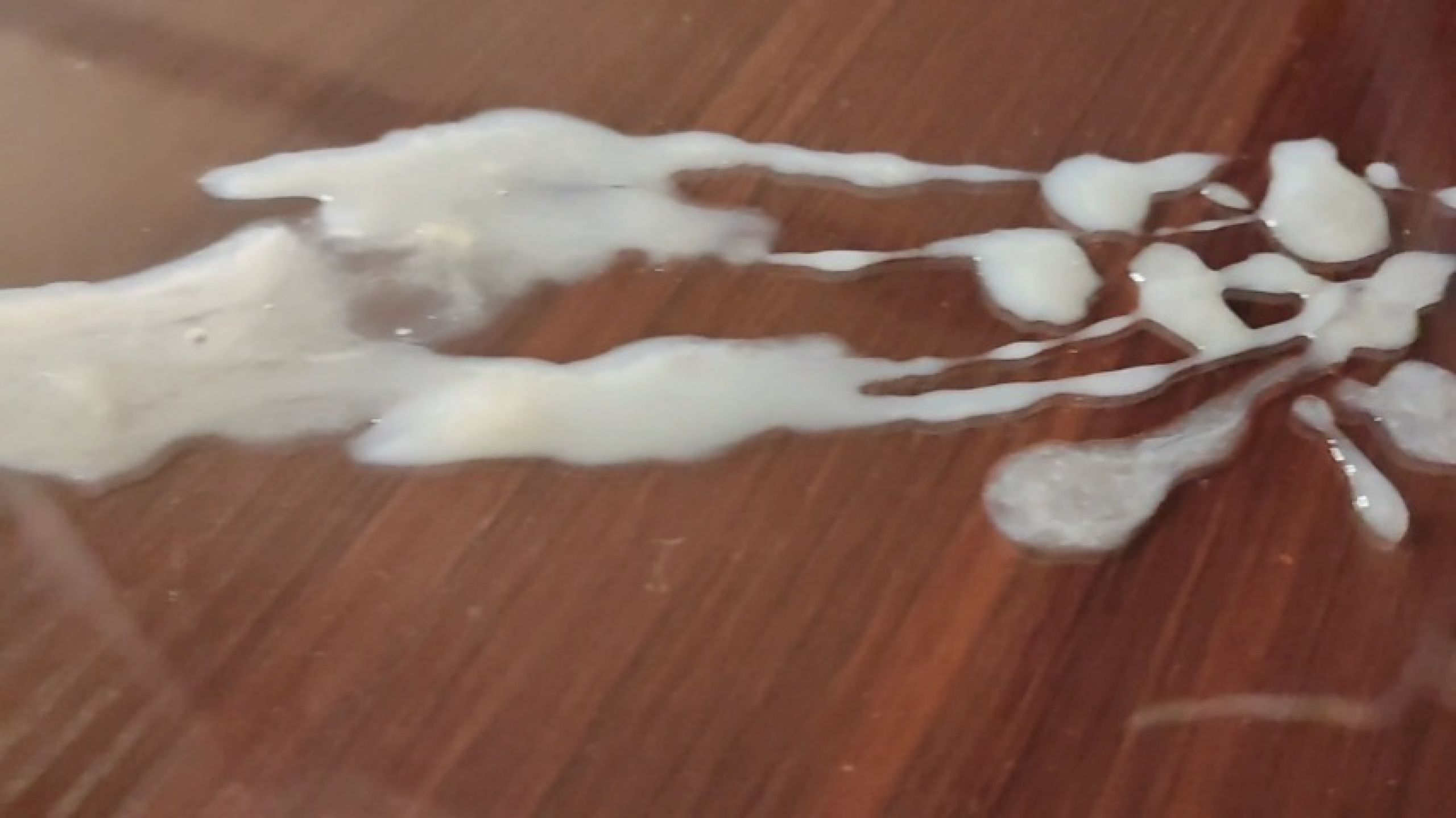 Asian Crossdresser cumshot on acrylic and eating 2 - S005