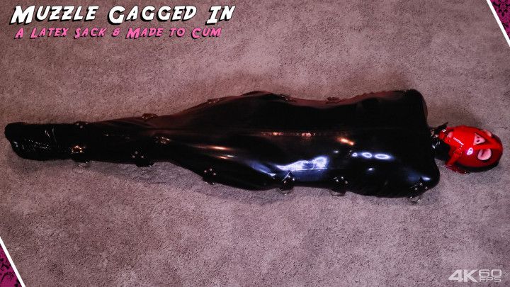 Muzzle Gagged In A Latex Sack - 4K 60FPS Version