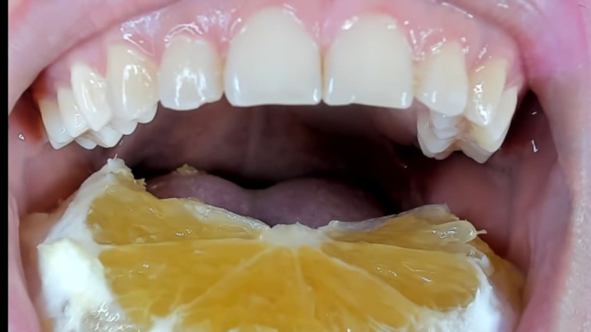 chewing mushrooms and orange slices