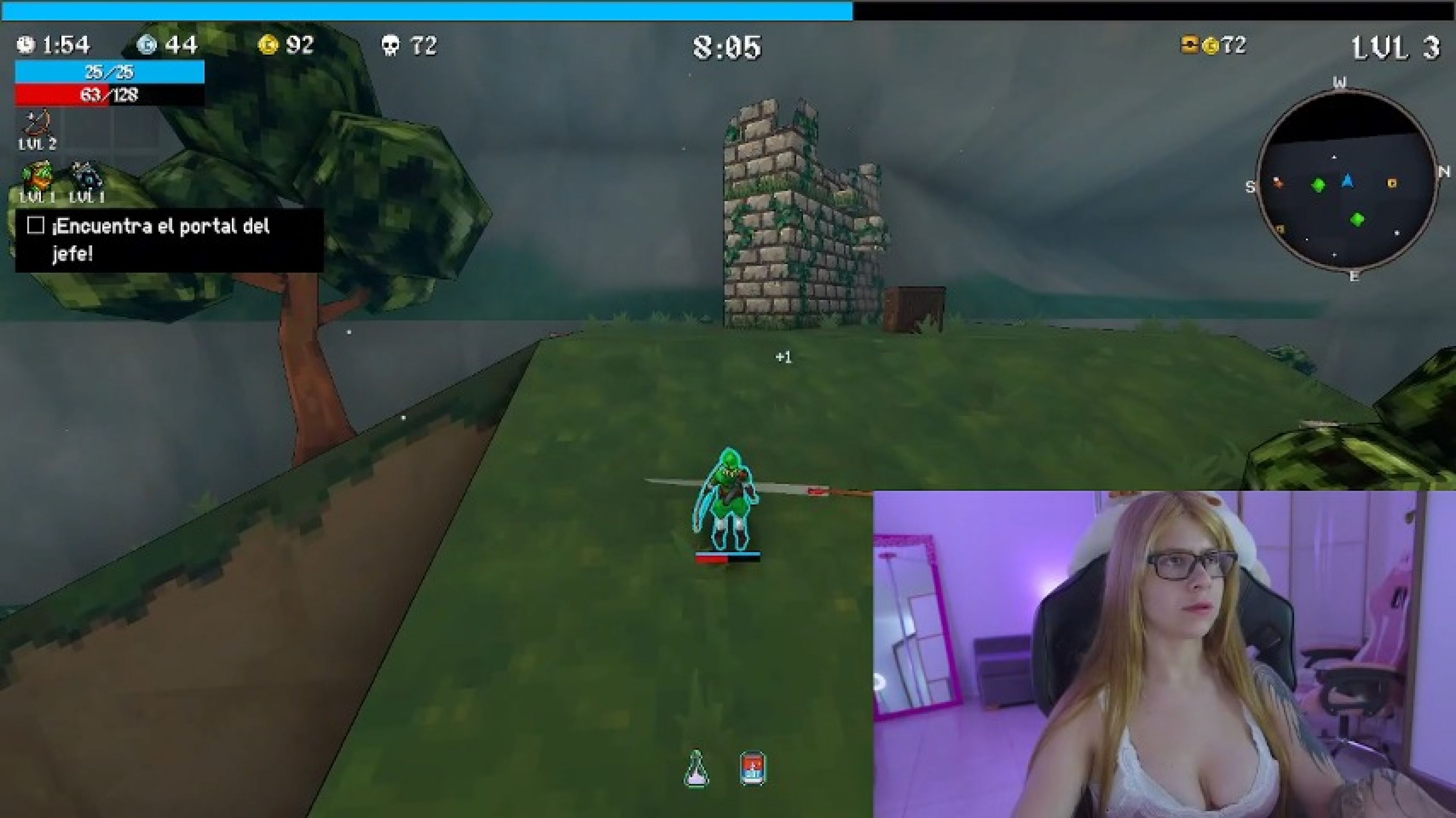 Playing Megabonk