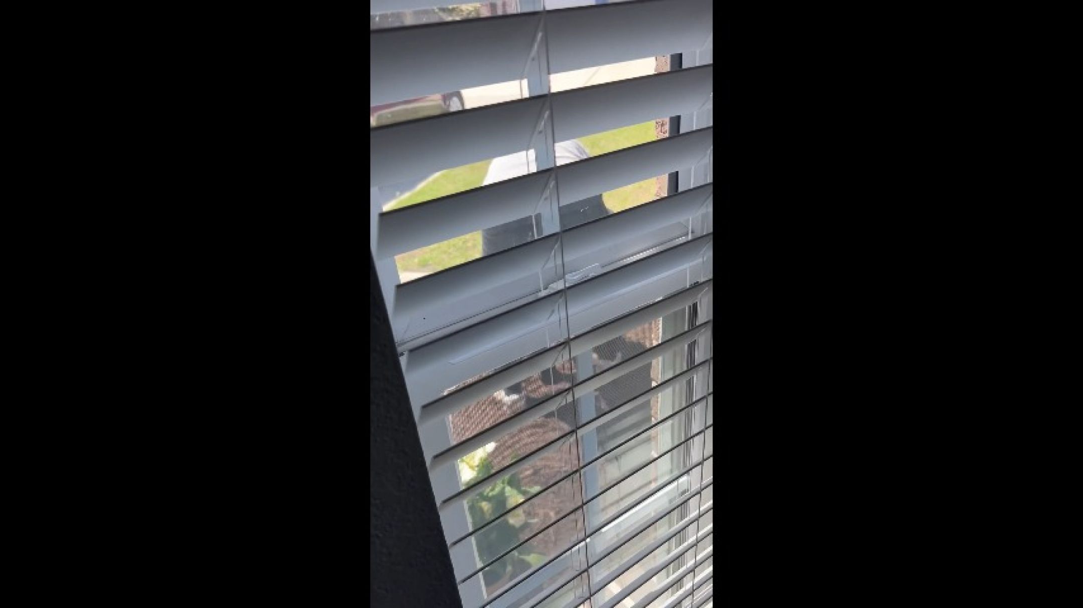 The Yard Boy gets a Hotwife "Thank you&quot