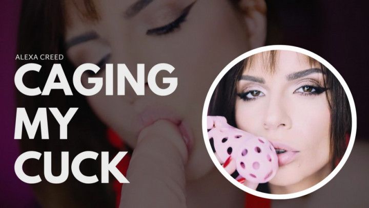 Caging My Cuck - No pleasure for you