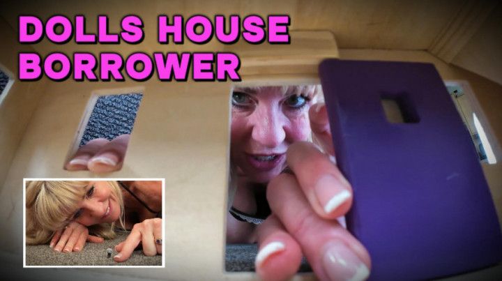 Amelia Finds Doll House Borrower