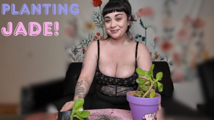 Planting Jade Props