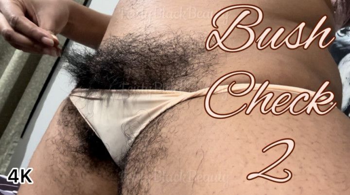 Goddess Feistys Bush Check 2: Hairy Ebony Pussy Update 4K