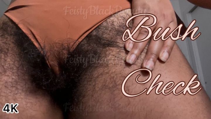 Goddess Feistys Bush Check: Hairy Ebony Pussy Update 4K