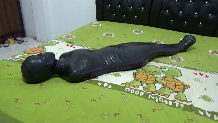 RandyMummify RM071 VGA