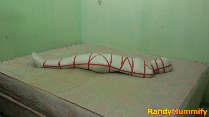 RandyMummify RM037 VGA