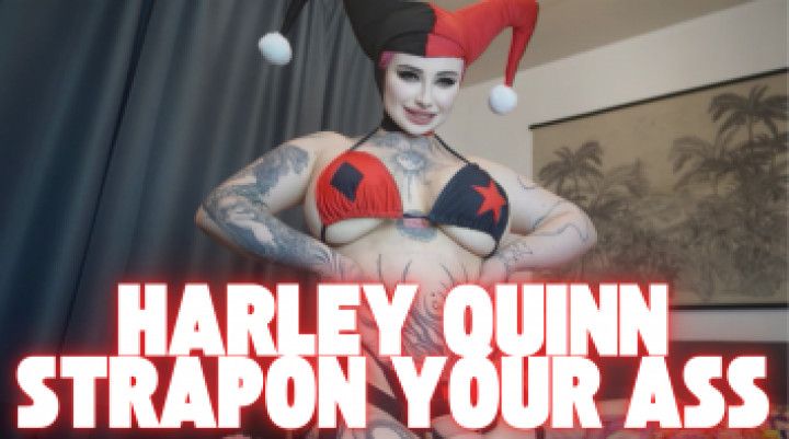 harley quinn strapon your ass