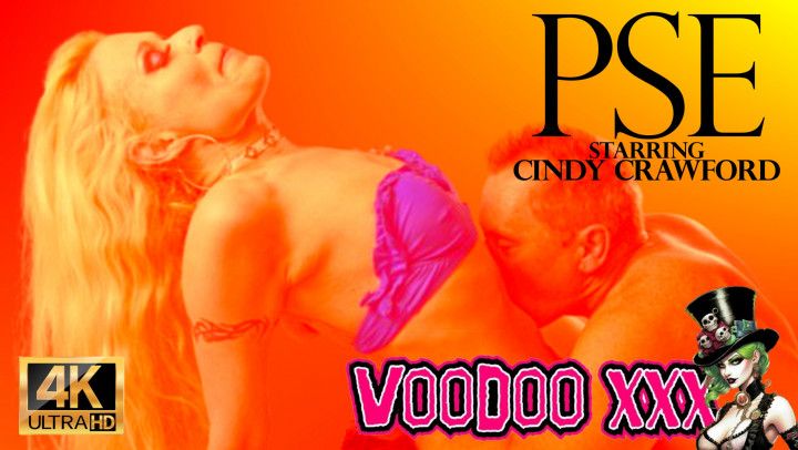 PSE "The Pornstar Experience&quot