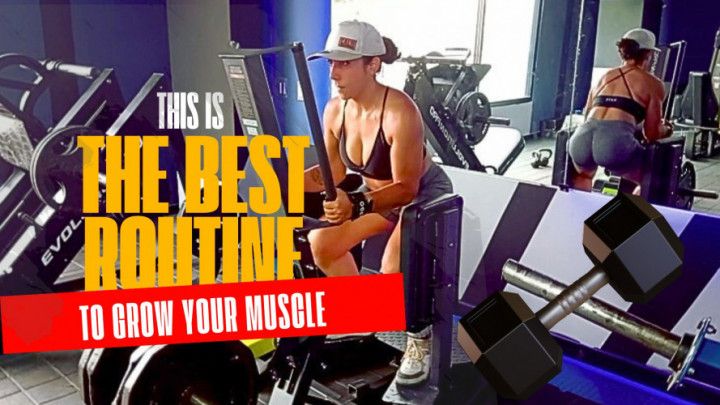 training and gym routine
