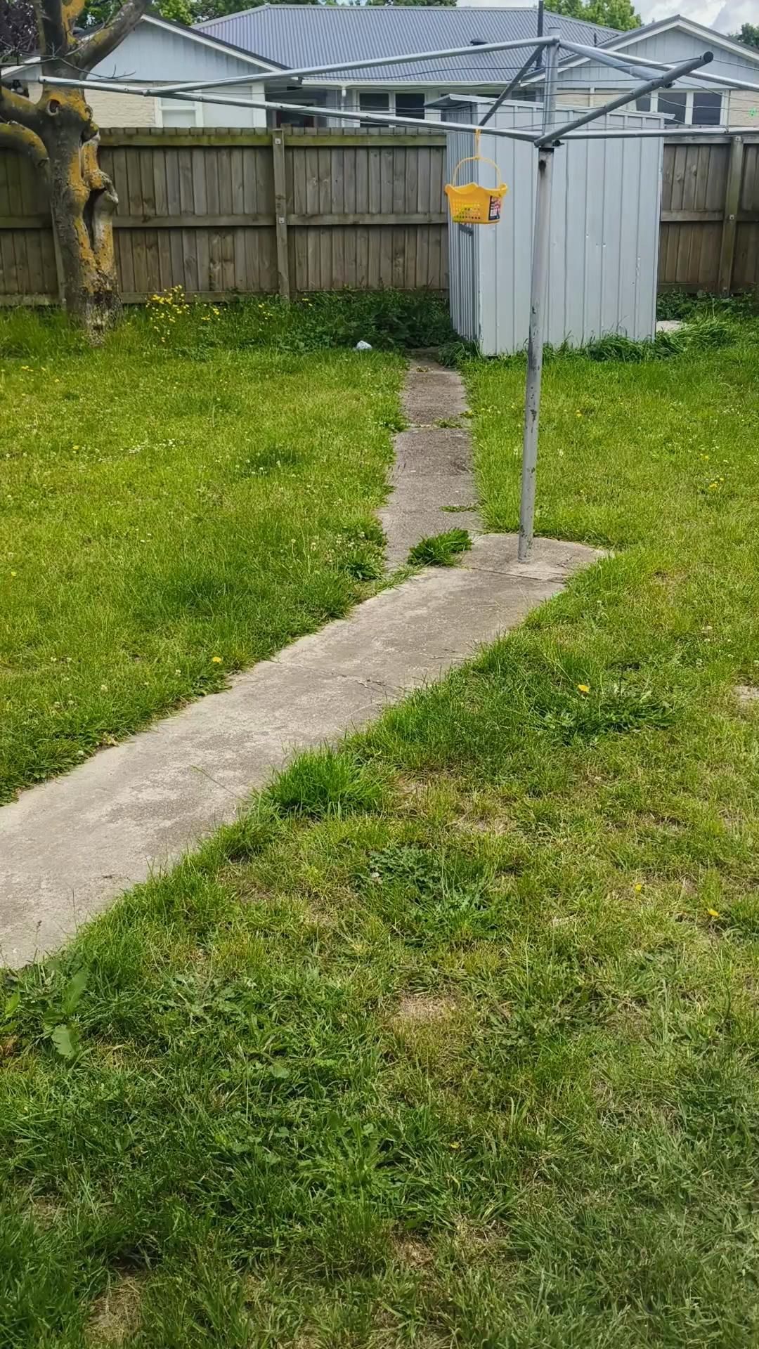 Come with me to do my washing