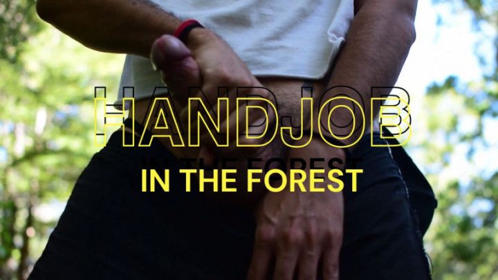 Handjob in the forest