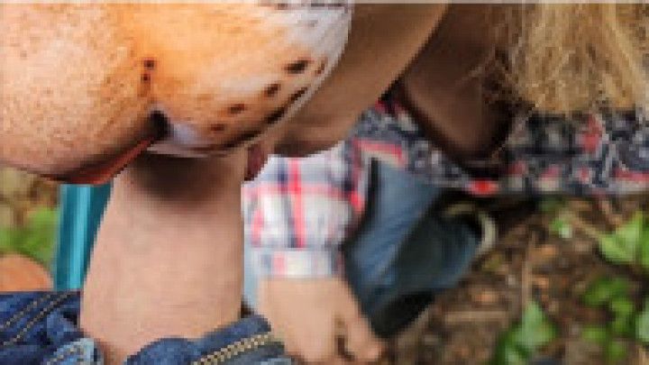 My neighbor the voyeur