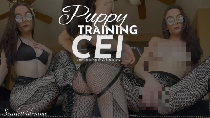 Training CEI