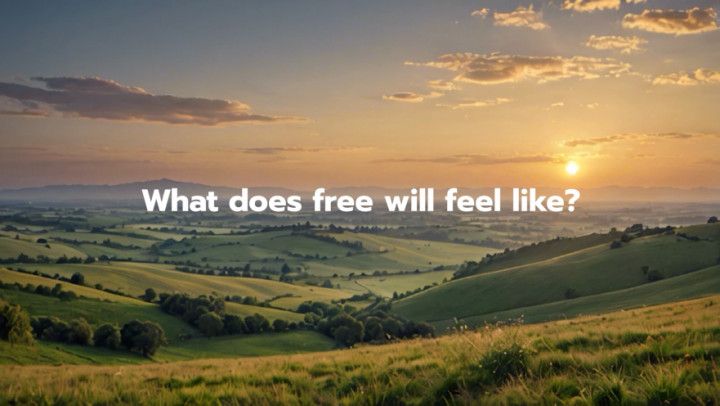 What Does Free Will Feel Like