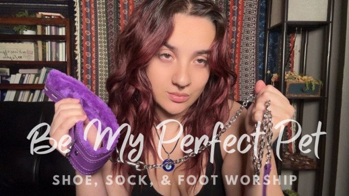 Be My Perfect Pet shoe, sock, &amp; foot worship