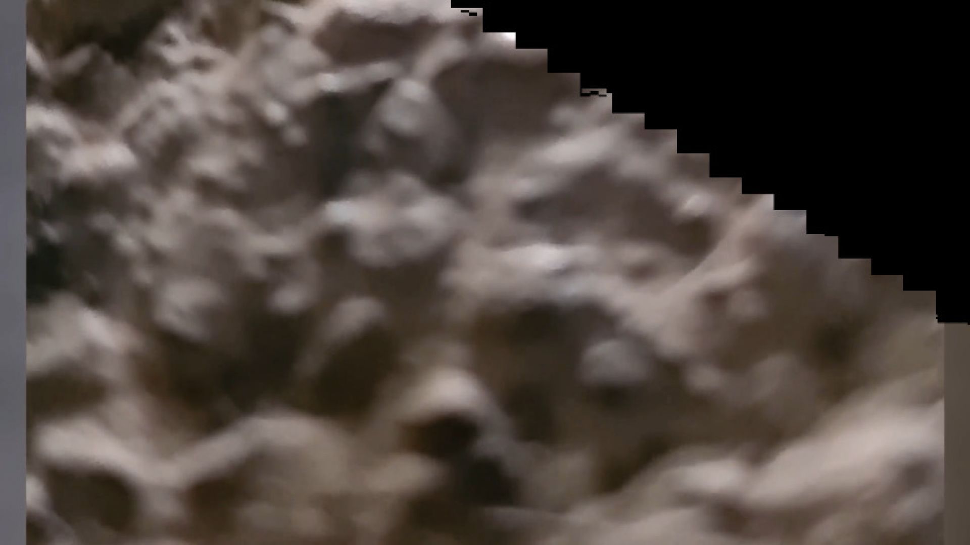 Why am I recording my Dungeon Floor