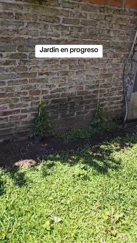 Vlog of my garden in progress