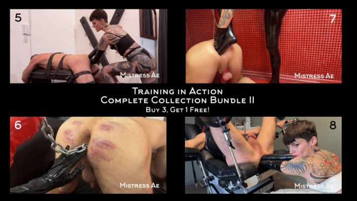 Training in Action Collection Bundle II: Buy 3, Get 1 Free
