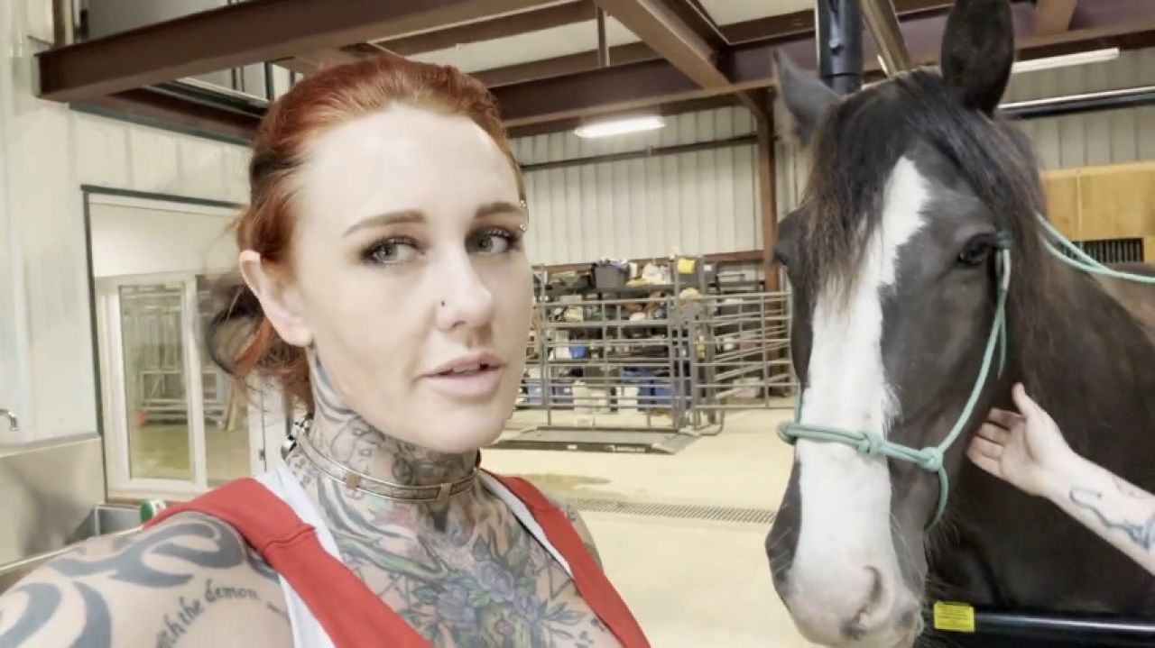 We Took Our Furbaby To the Vet- Adventures of Autumn &amp; Ellis