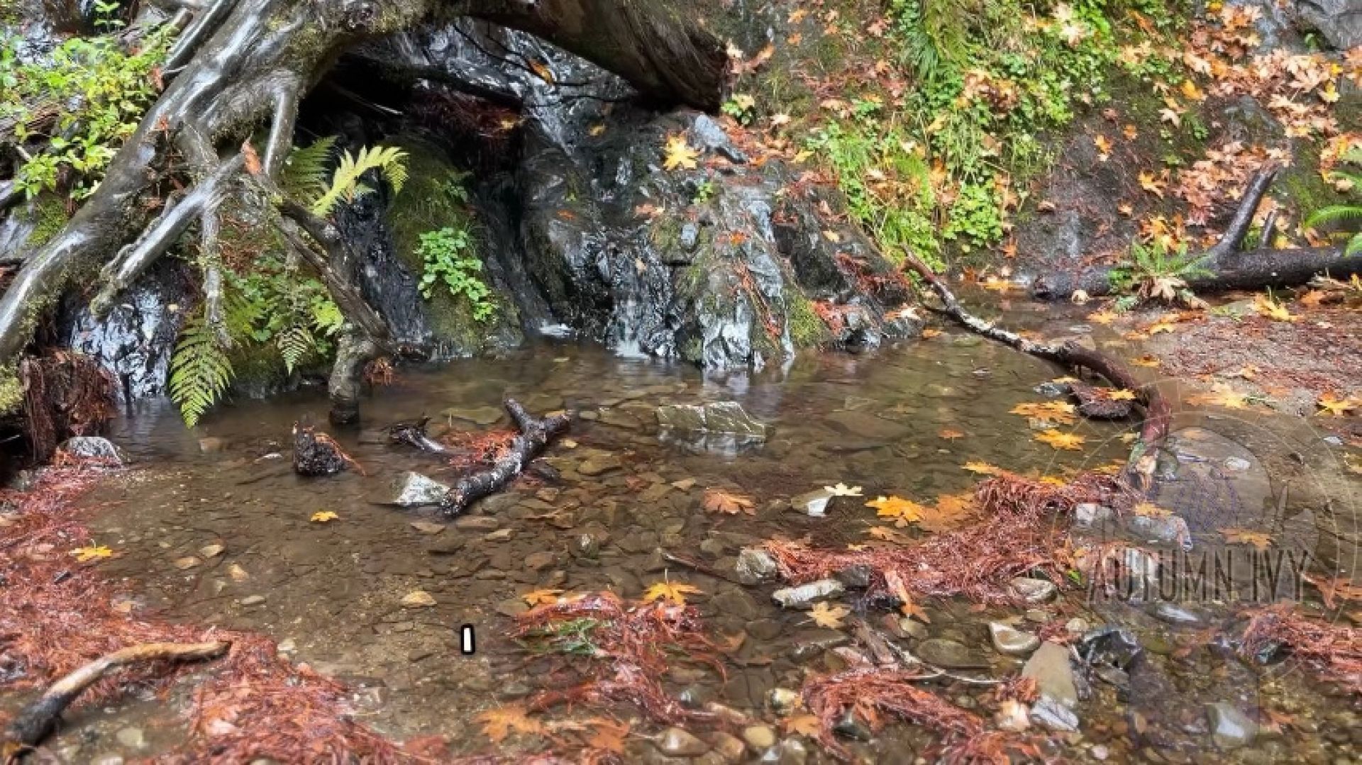 Workout Wednesday - Come hike and do some horseback with me