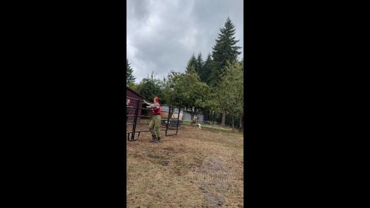 Fence Building - Round Pen for Horses! SFW