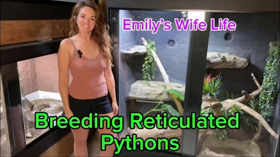 Exotic jungle