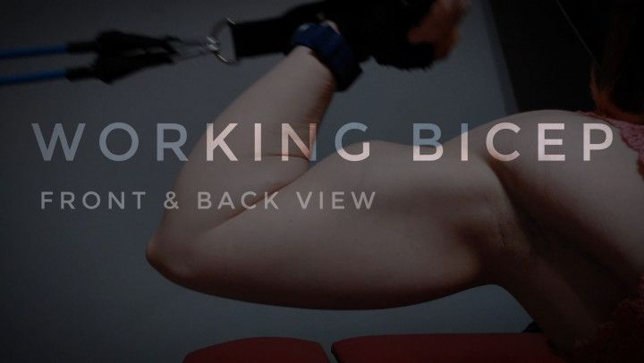 Working Bicep: Front &amp; Back View