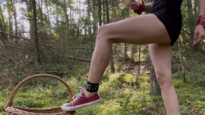 Wildness in the forest by the road