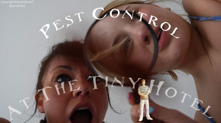 Pest Control At The Tiny Hotel