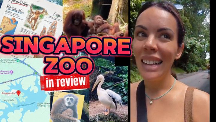Singapore Zoo In Review - SFW VLOG