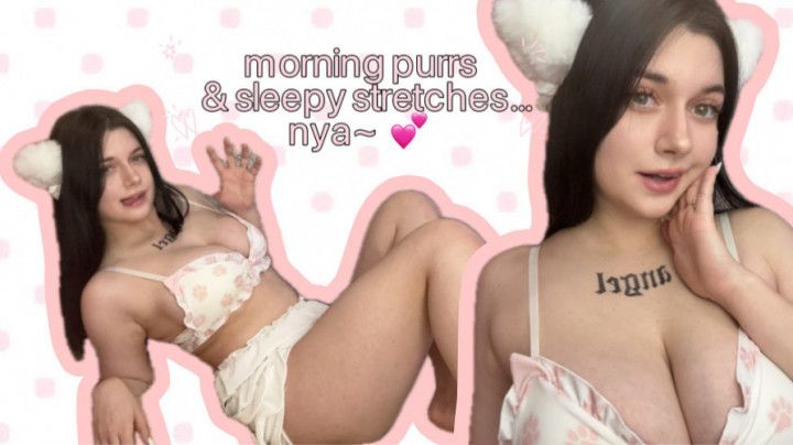 NEKO MORNING STRETCH