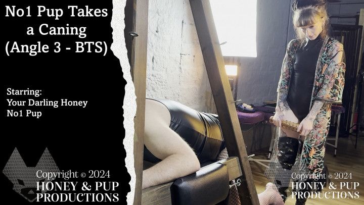 No1 Takes a Caning from Your Darling Honey - Angle 3