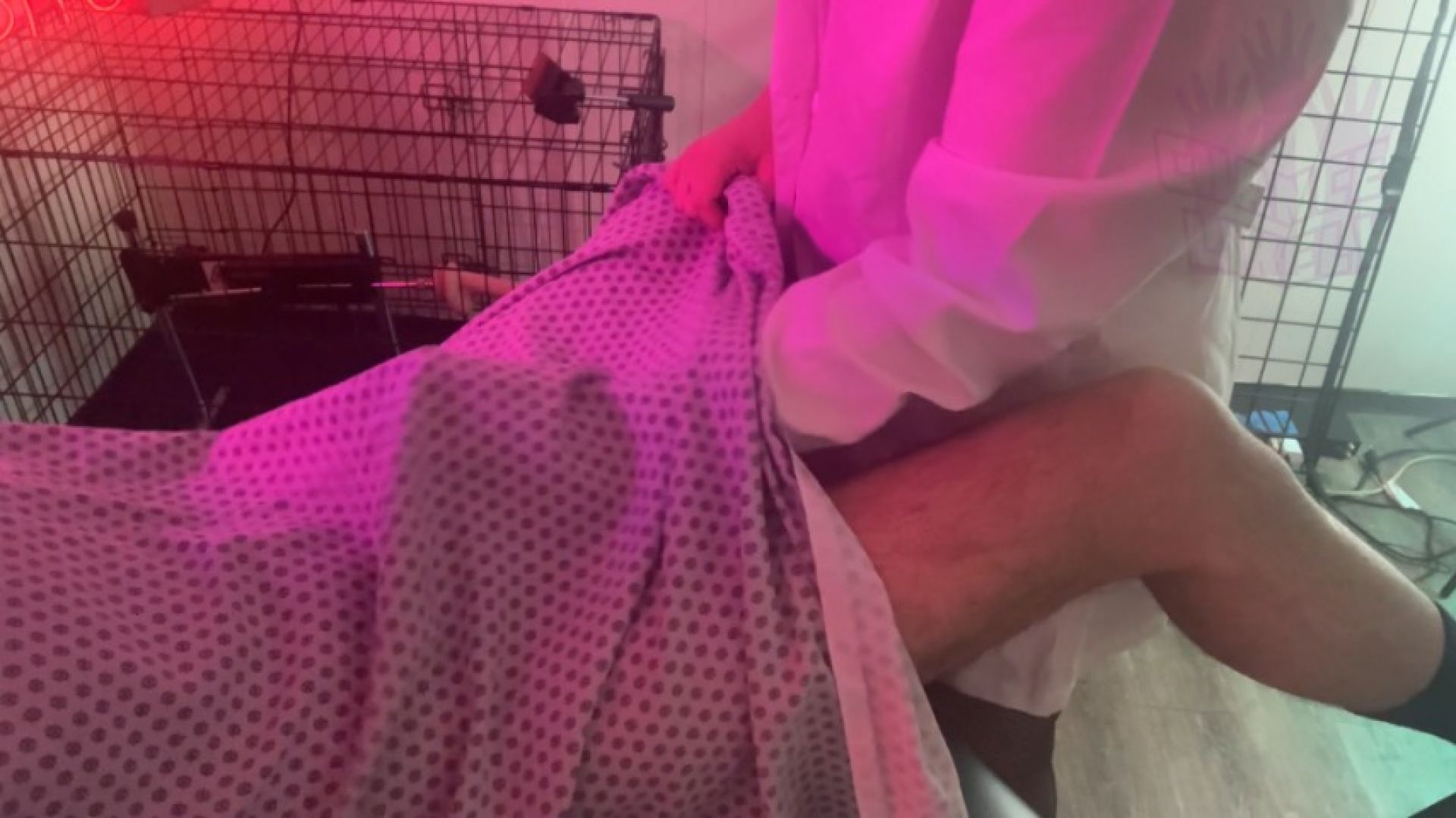 Doctor recommends getting milked once a day