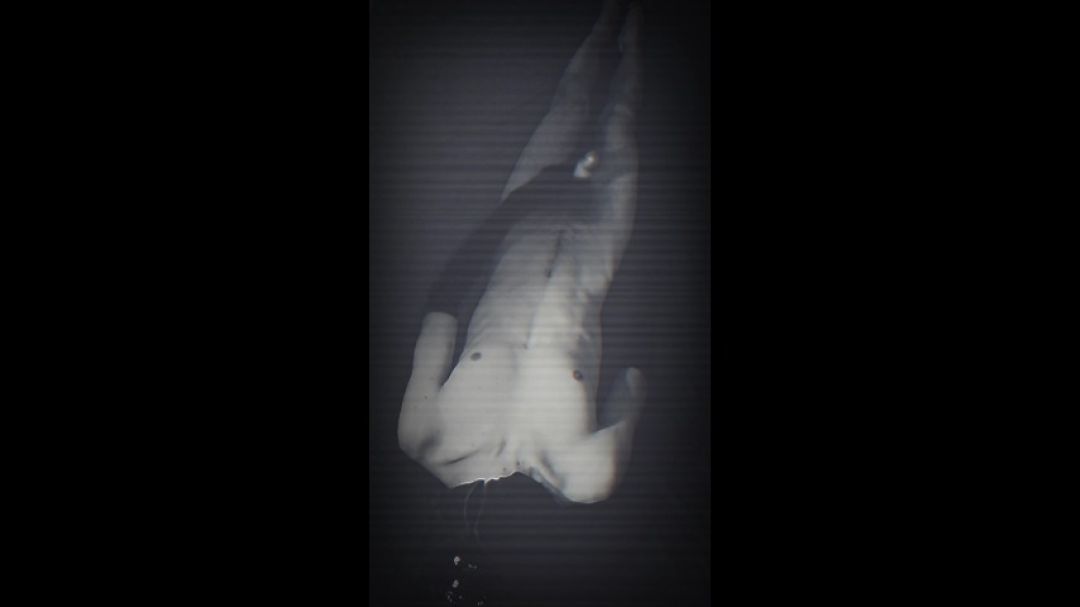 Video screenshot